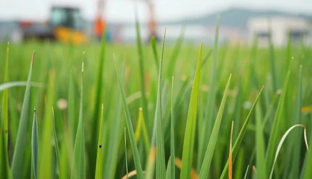 短视频运营如何深度结合网络应用场景